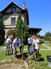 Odkritje spominske plošče pred Bayerjevo vilo v Rečici ob Paki 2